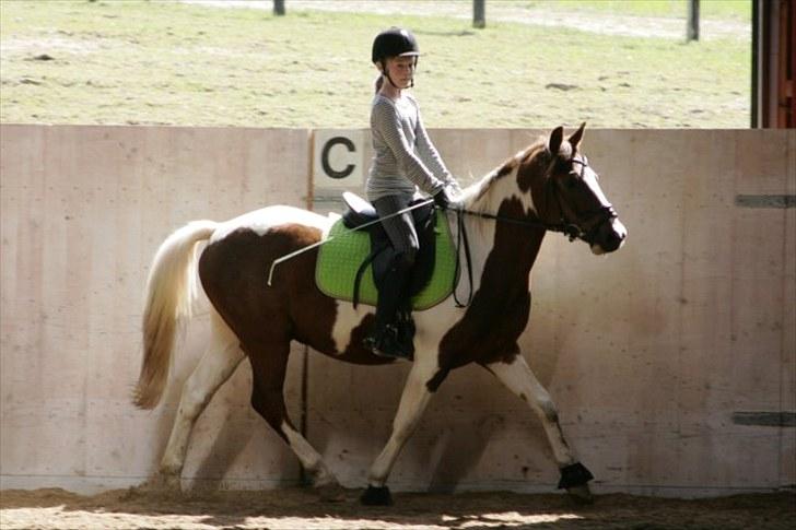 La-Chris dressur.<3:D billede 7