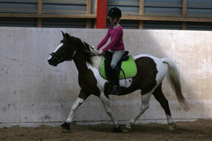 La-Chris dressur.<3:D billede 8