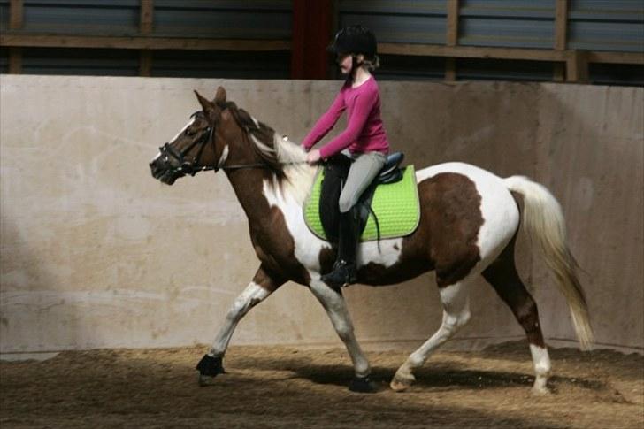 La-Chris dressur.<3:D billede 9