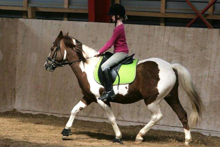 La-Chris dressur.<3:D billede 10