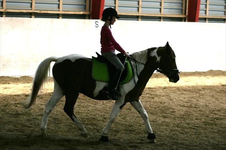 La-Chris dressur.<3:D billede 11