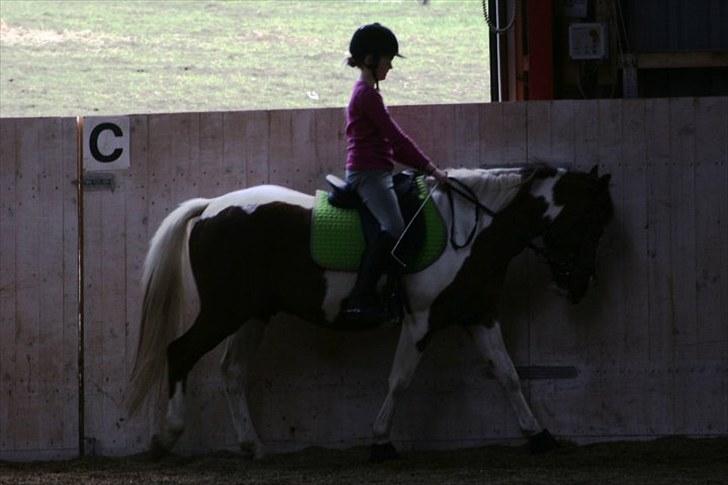 La-Chris dressur.<3:D billede 12