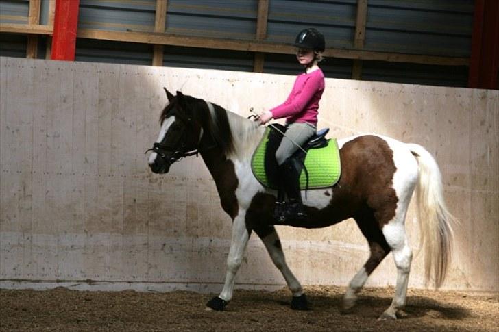 La-Chris dressur.<3:D billede 13