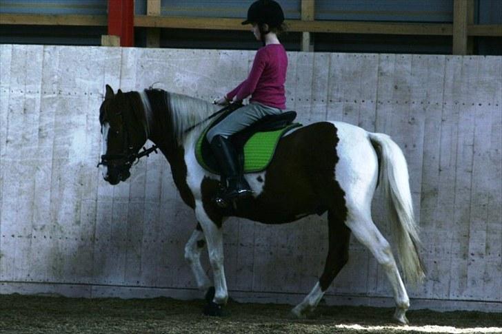 La-Chris dressur.<3:D billede 14