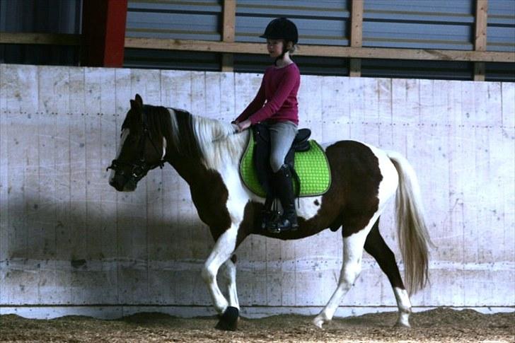 La-Chris dressur.<3:D billede 16