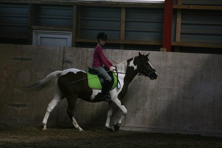 La-Chris dressur.<3:D billede 17