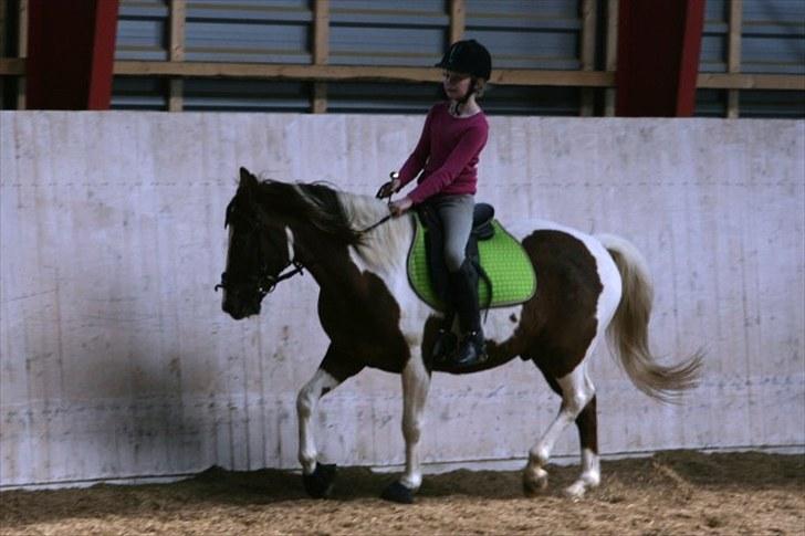 La-Chris dressur.<3:D billede 18