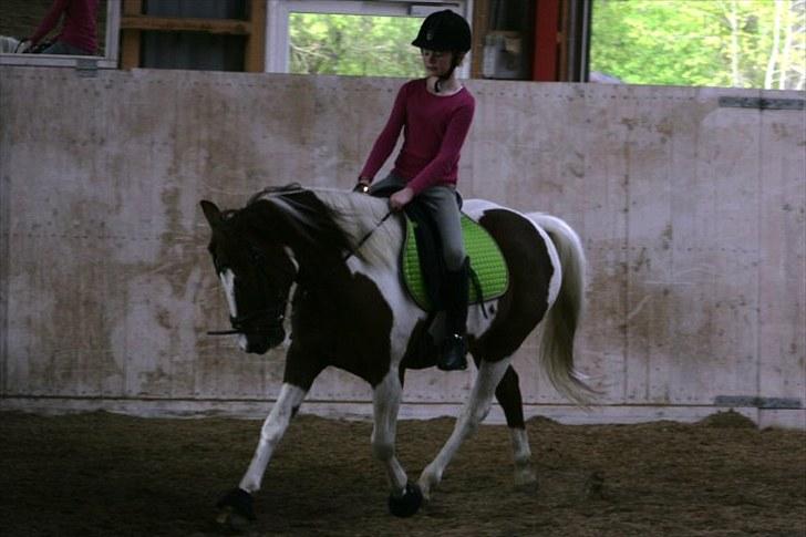 La-Chris dressur.<3:D billede 19