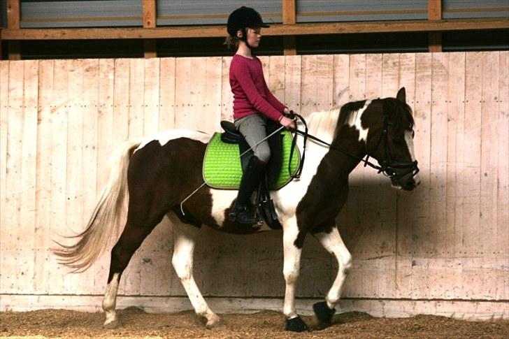 La-Chris dressur.<3:D billede 20