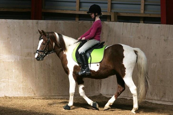 La-Chris dressur.<3:D billede 21