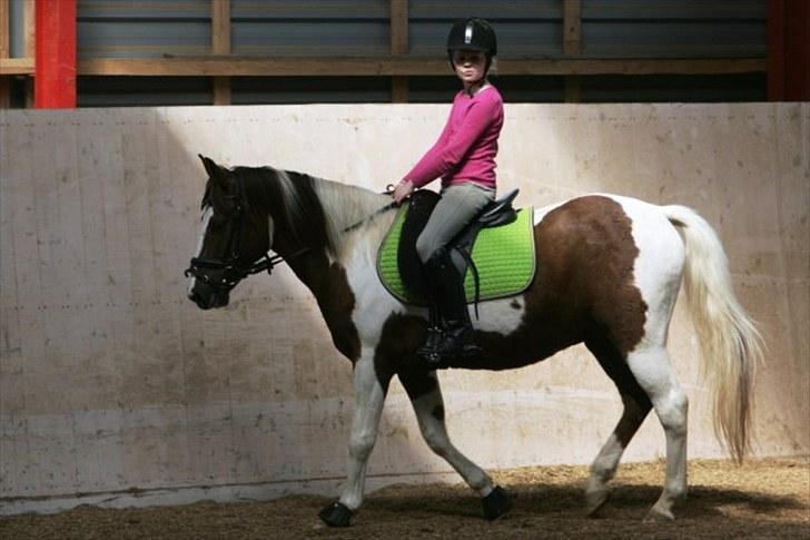 La-Chris dressur.<3:D billede 22