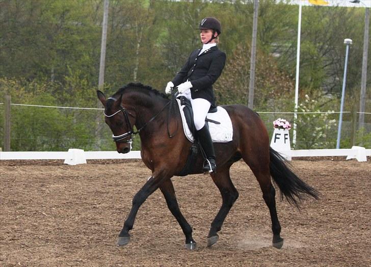 Stævne i Hylke rideklub billede 1