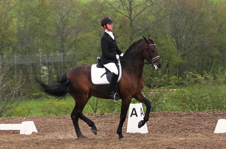 Stævne i Hylke rideklub - Piaff i LA2 :D billede 2