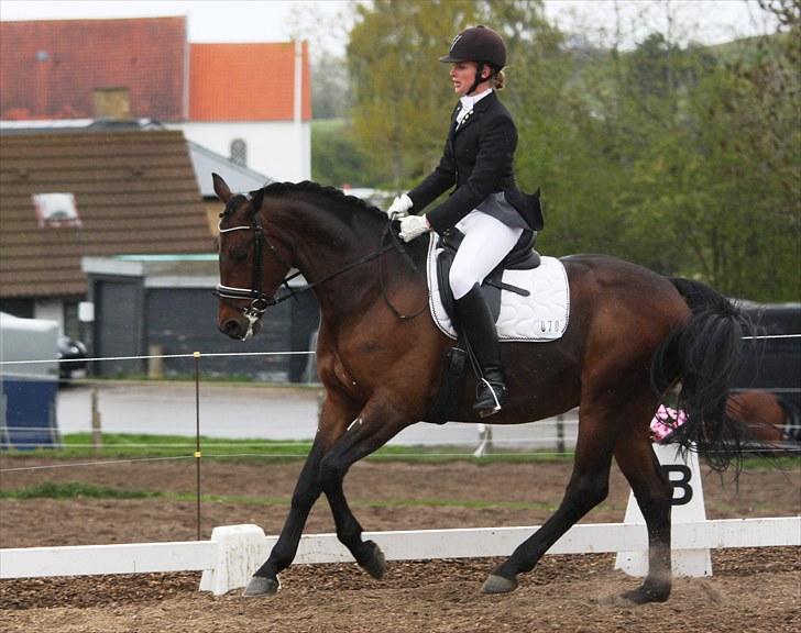 Stævne i Hylke rideklub billede 3