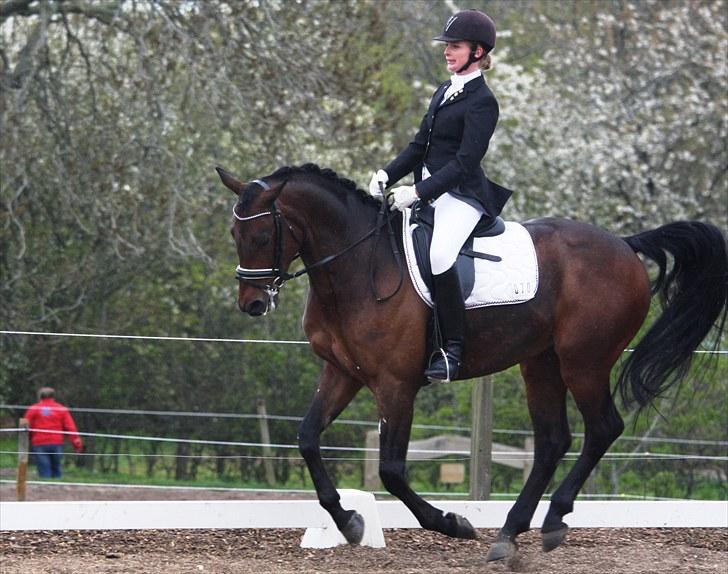 Stævne i Hylke rideklub billede 4