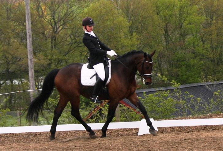 Stævne i Hylke rideklub billede 5