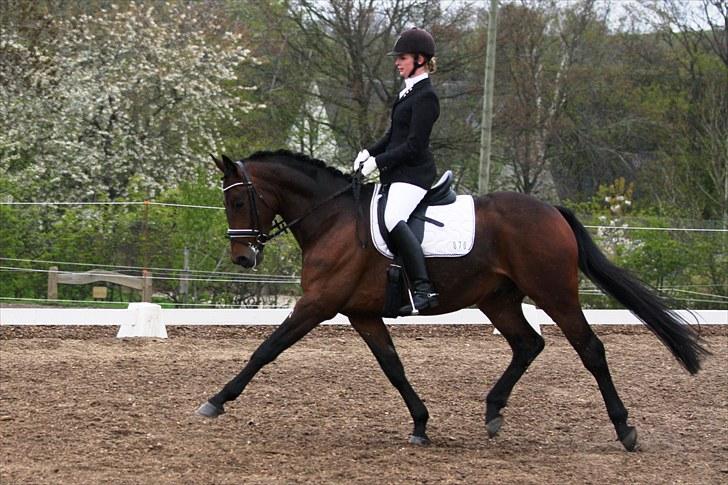 Stævne i Hylke rideklub billede 6