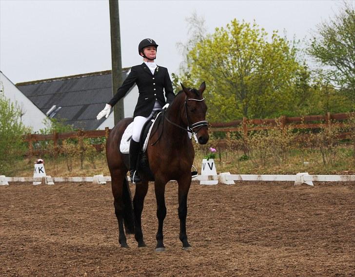 Stævne i Hylke rideklub billede 11