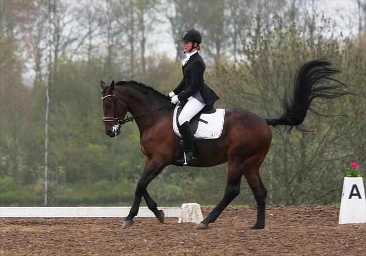 Stævne i Hylke rideklub billede 13