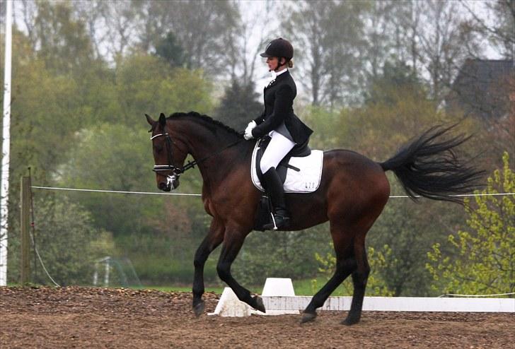 Stævne i Hylke rideklub billede 14