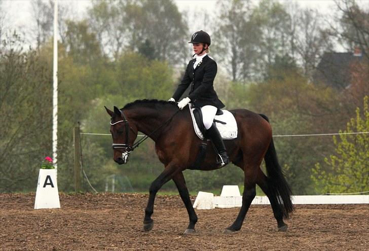 Stævne i Hylke rideklub billede 16