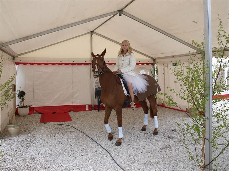 Min Konfirmation 2010 billede 1