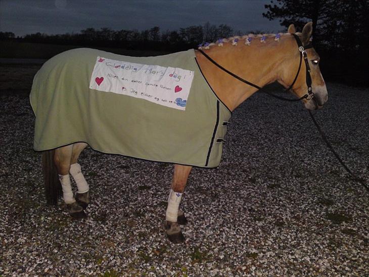 {{currentPhoto.altText}} billede {{currentPhoto.number}}