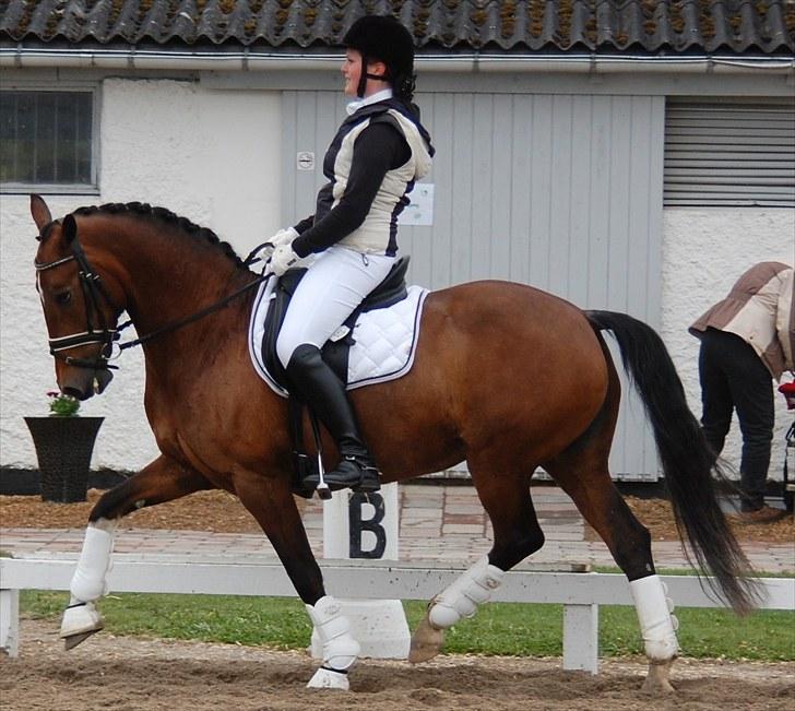 Landsstævne i Ringsted Sports Rideklub billede 1