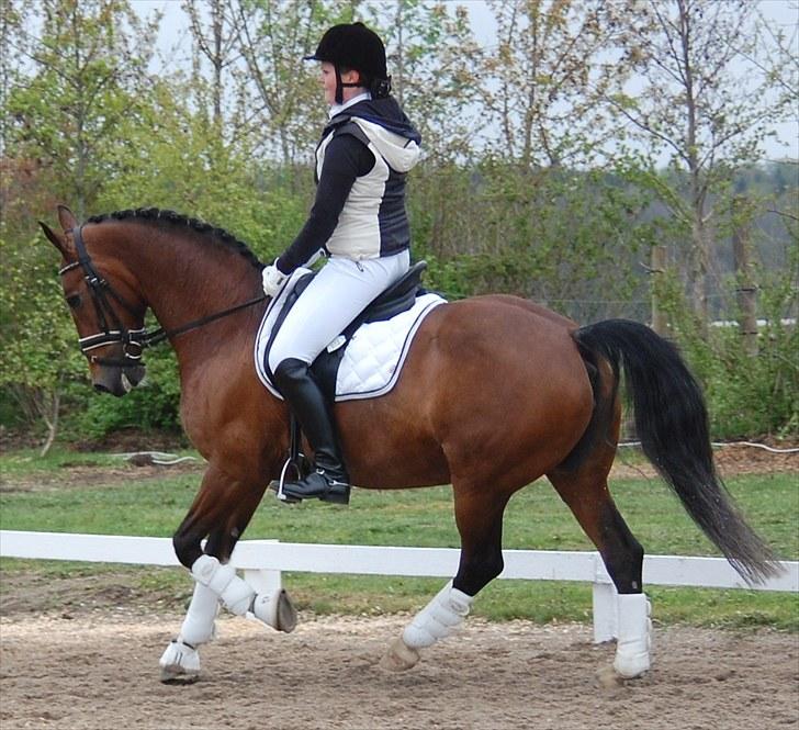 Landsstævne i Ringsted Sports Rideklub billede 2