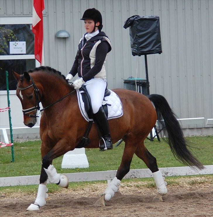 Landsstævne i Ringsted Sports Rideklub billede 3