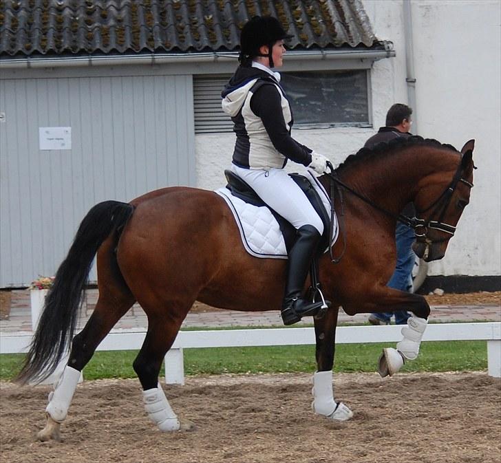 Landsstævne i Ringsted Sports Rideklub billede 6