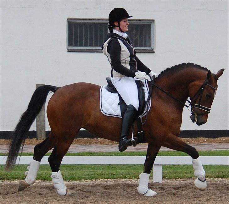 Landsstævne i Ringsted Sports Rideklub billede 7
