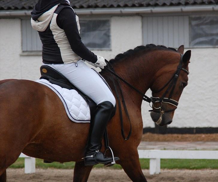 Landsstævne i Ringsted Sports Rideklub billede 8