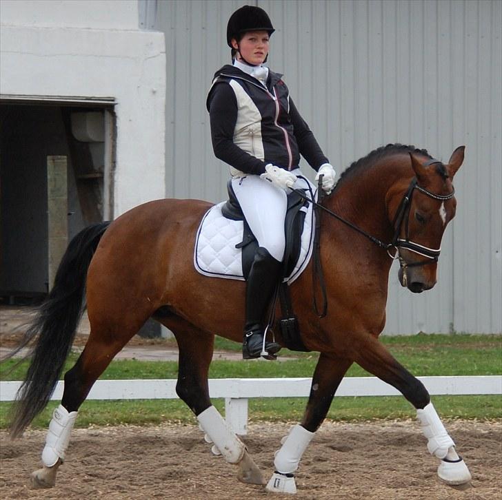 Landsstævne i Ringsted Sports Rideklub billede 9
