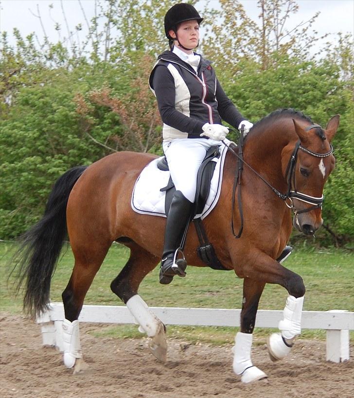 Landsstævne i Ringsted Sports Rideklub billede 10