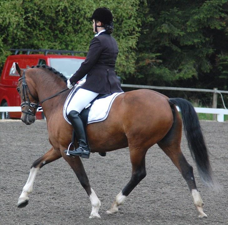 Landsstævne i Ringsted Sports Rideklub billede 12