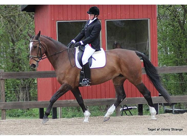 {{currentPhoto.altText}} billede {{currentPhoto.number}}