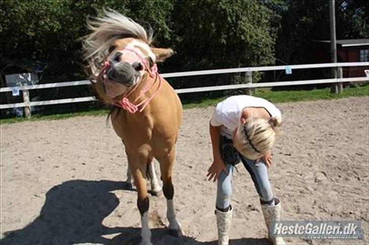 Når en engel siger farvel?... :'( <3 R.I.P billede 1