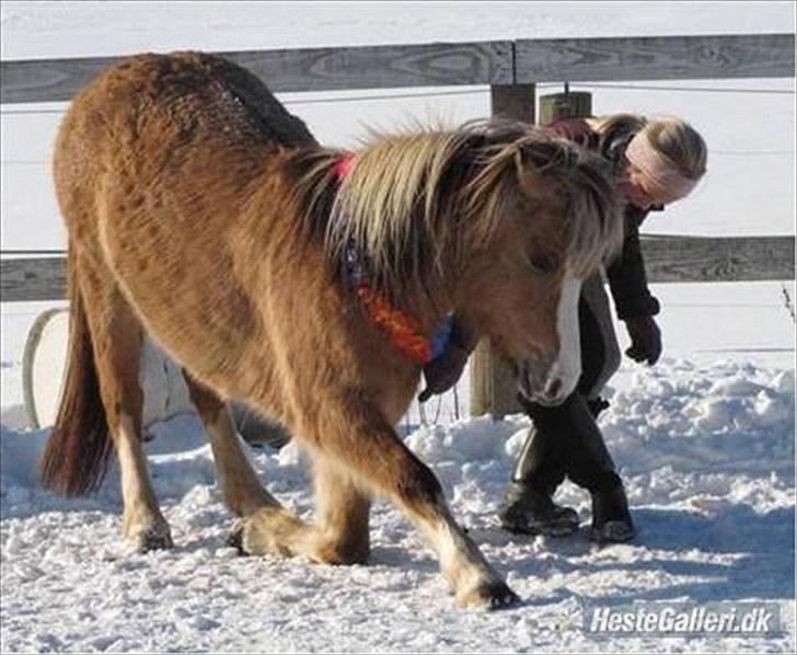 Når en engel siger farvel?... :'( <3 R.I.P billede 4