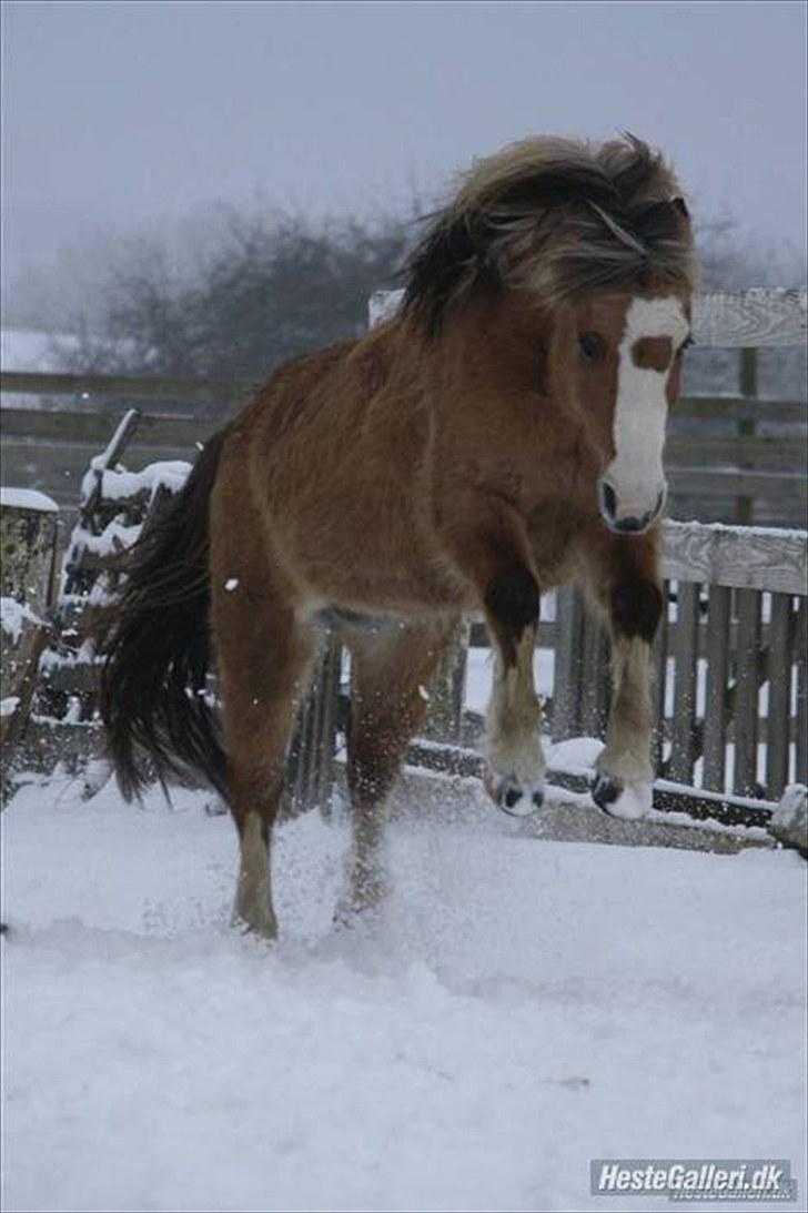 Når en engel siger farvel?... :'( <3 R.I.P billede 5