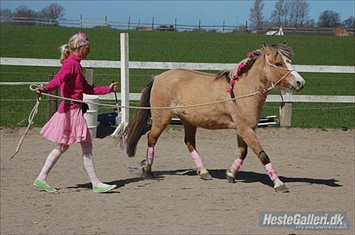 Når en engel siger farvel?... :'( <3 R.I.P billede 6