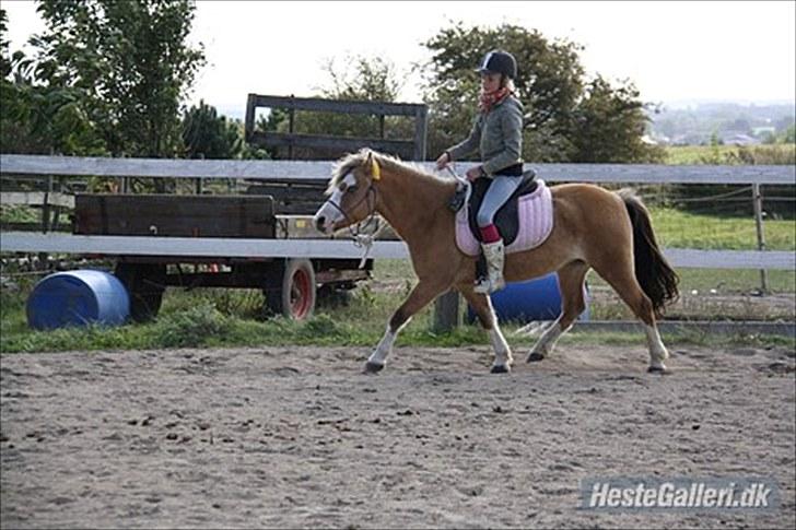 Når en engel siger farvel?... :'( <3 R.I.P billede 7