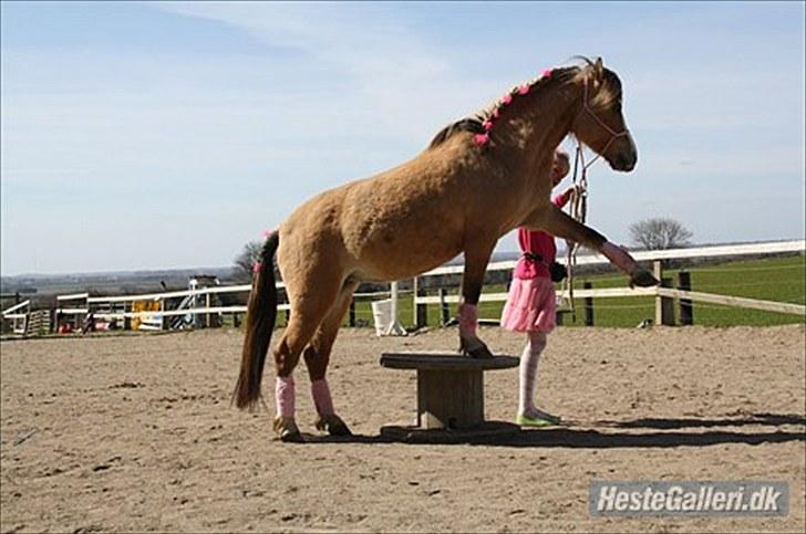 Når en engel siger farvel?... :'( <3 R.I.P billede 12