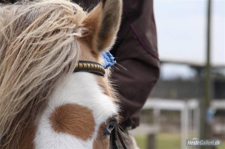 Når en engel siger farvel?... :'( <3 R.I.P billede 14