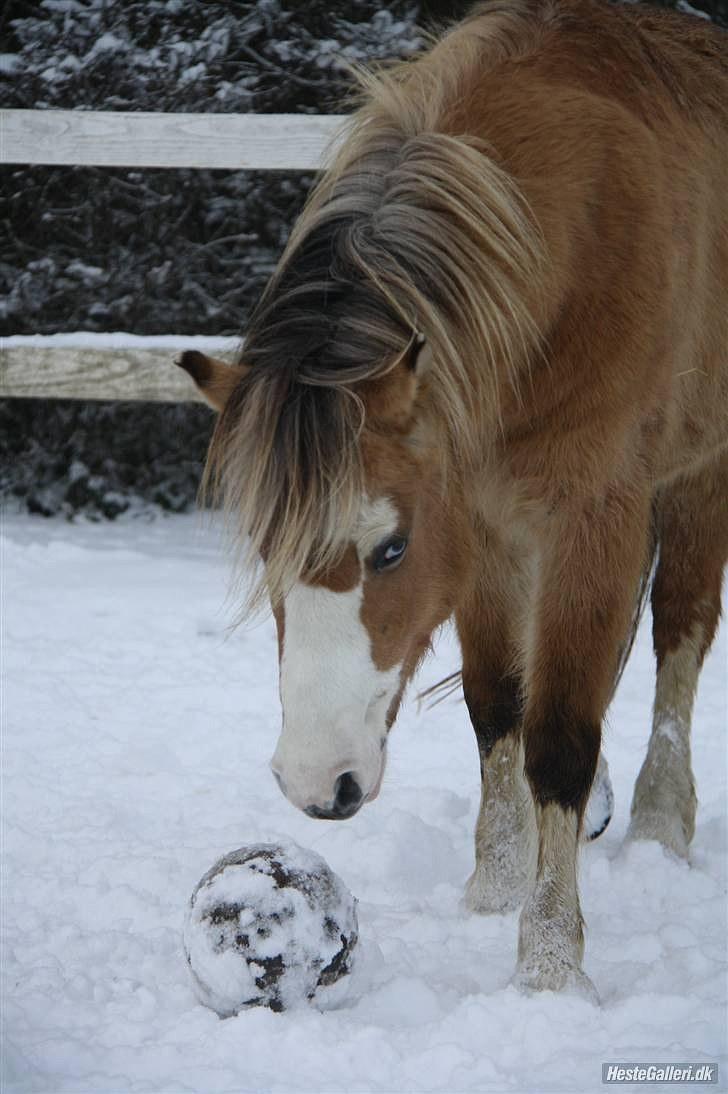 Når en engel siger farvel?... :'( <3 R.I.P billede 17