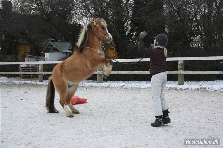 Når en engel siger farvel?... :'( <3 R.I.P billede 18