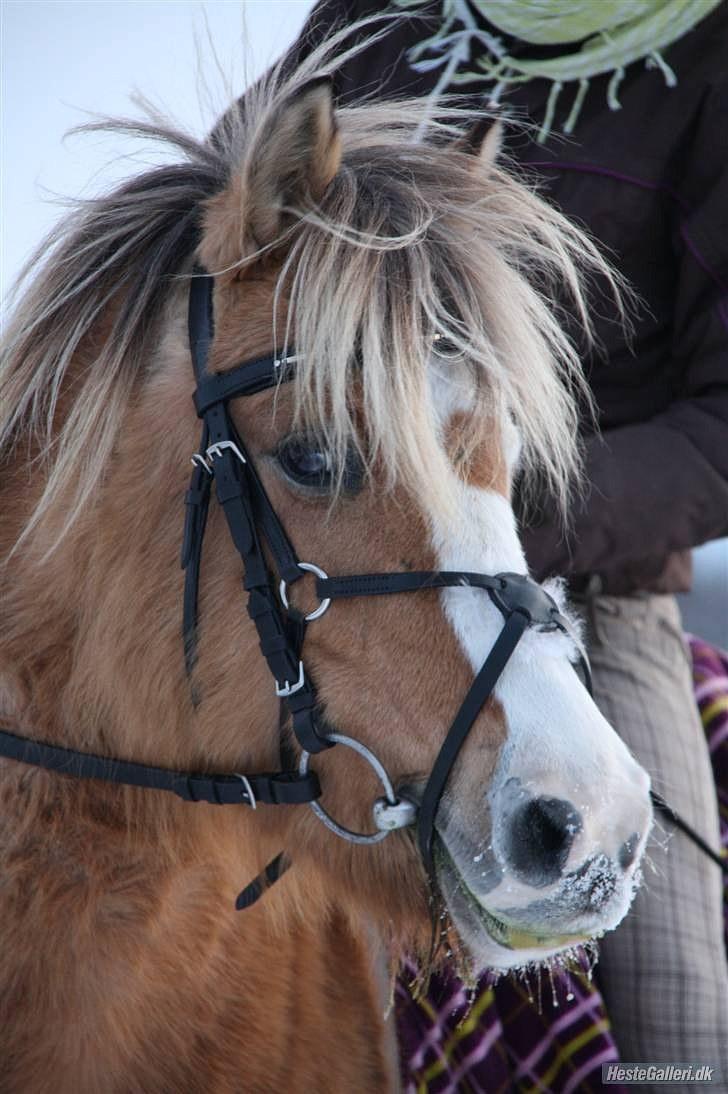 Når en engel siger farvel?... :'( <3 R.I.P billede 22