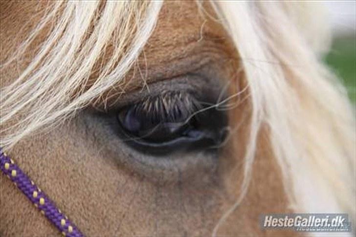 Når en engel siger farvel?... :'( <3 R.I.P billede 27