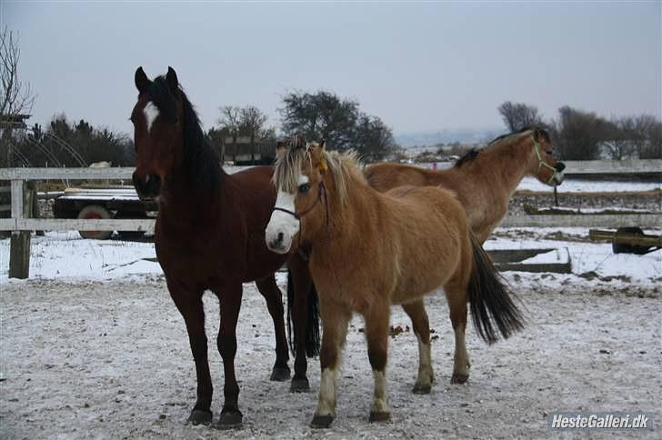 Når en engel siger farvel?... :'( <3 R.I.P billede 34