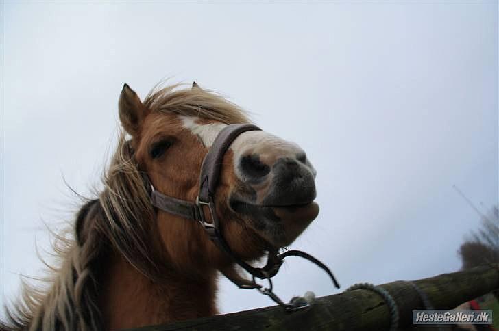 Når en engel siger farvel?... :'( <3 R.I.P billede 35